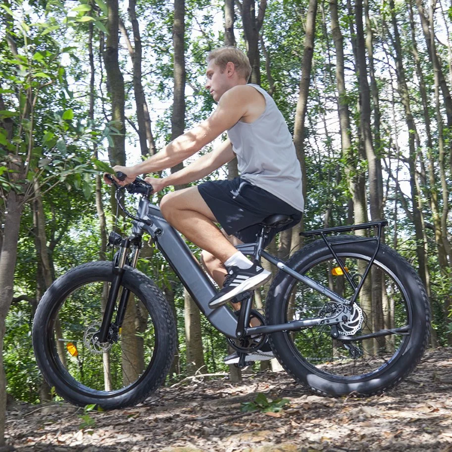 Venta caliente Ebike cuesta abajo, Bicicleta el&#233;ctrica bicicleta el&#233;ctrica