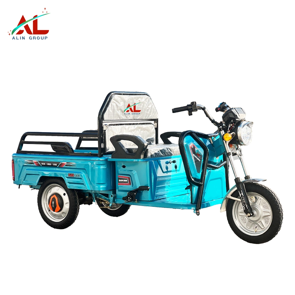 El&#233;ctrico Mini Trike 350W 500W 800W Trike cargo