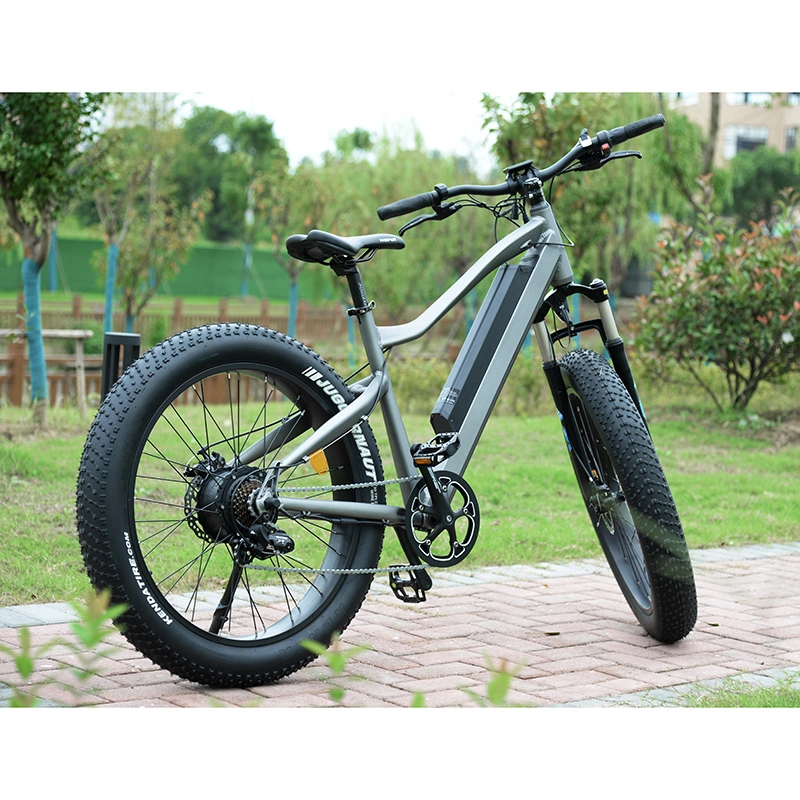 2023 Venta caliente Popular bicicleta el&#233;ctrica 48V 500W neum&#225;tico Fat Bicicleta el&#233;ctrica