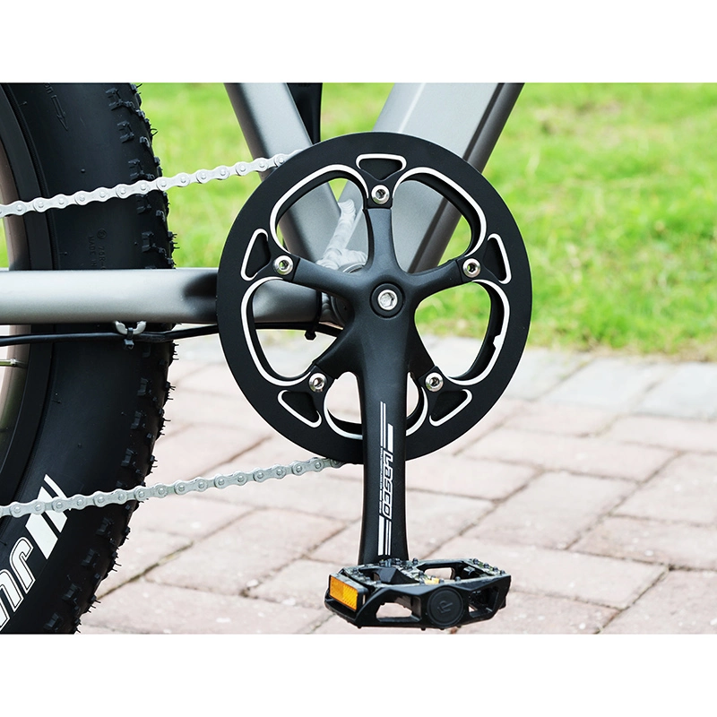 2023 Venta caliente Popular bicicleta el&#233;ctrica 48V 500W neum&#225;tico Fat Bicicleta el&#233;ctrica
