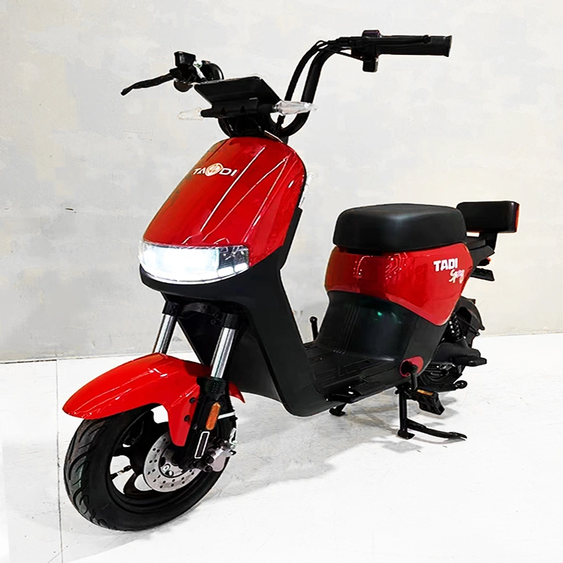 Potente motocicleta bicicleta el&#233;ctrica para los adultos