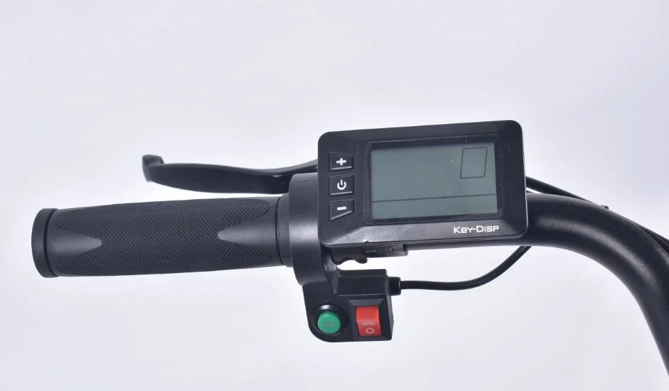Hot-Selling bicicleta el&#233;ctrica China con CE