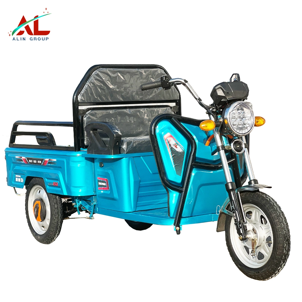 El&#233;ctrico Mini Trike 350W 500W 800W Trike cargo
