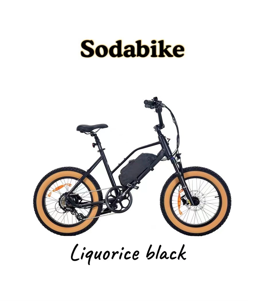 PARA Hombre y Mujer Bicicleta El&#233;ctrica de Pedaleo Aisitido Unisex Rapido eBike