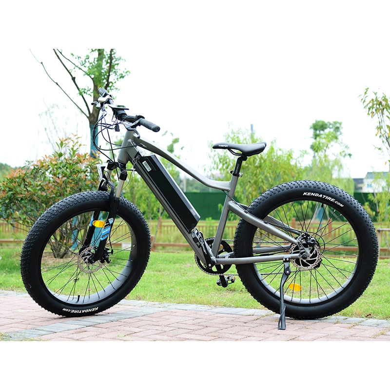 2023 Venta caliente Popular bicicleta el&#233;ctrica 48V 500W neum&#225;tico Fat Bicicleta el&#233;ctrica