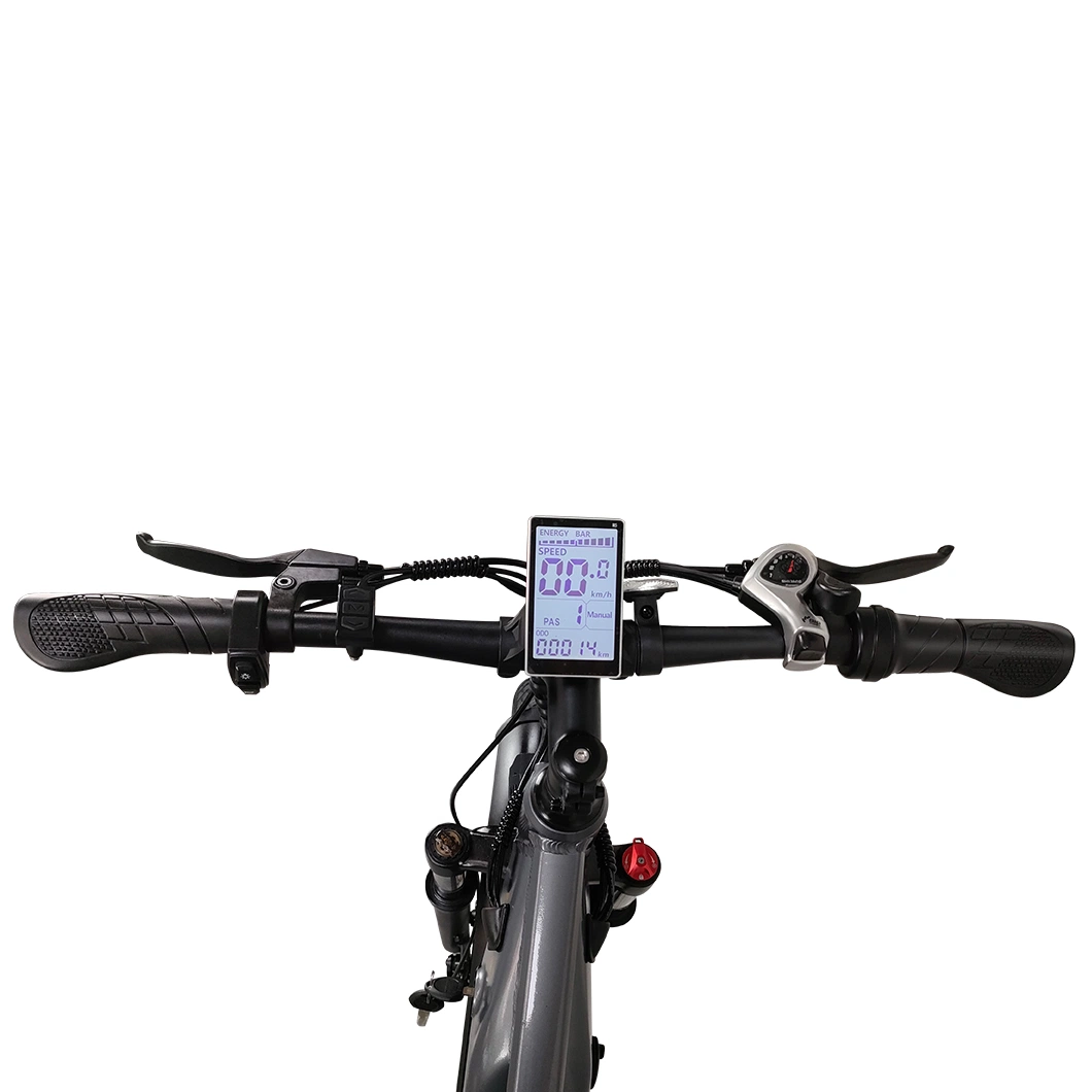 Venta caliente Ebike cuesta abajo, Bicicleta el&#233;ctrica bicicleta el&#233;ctrica