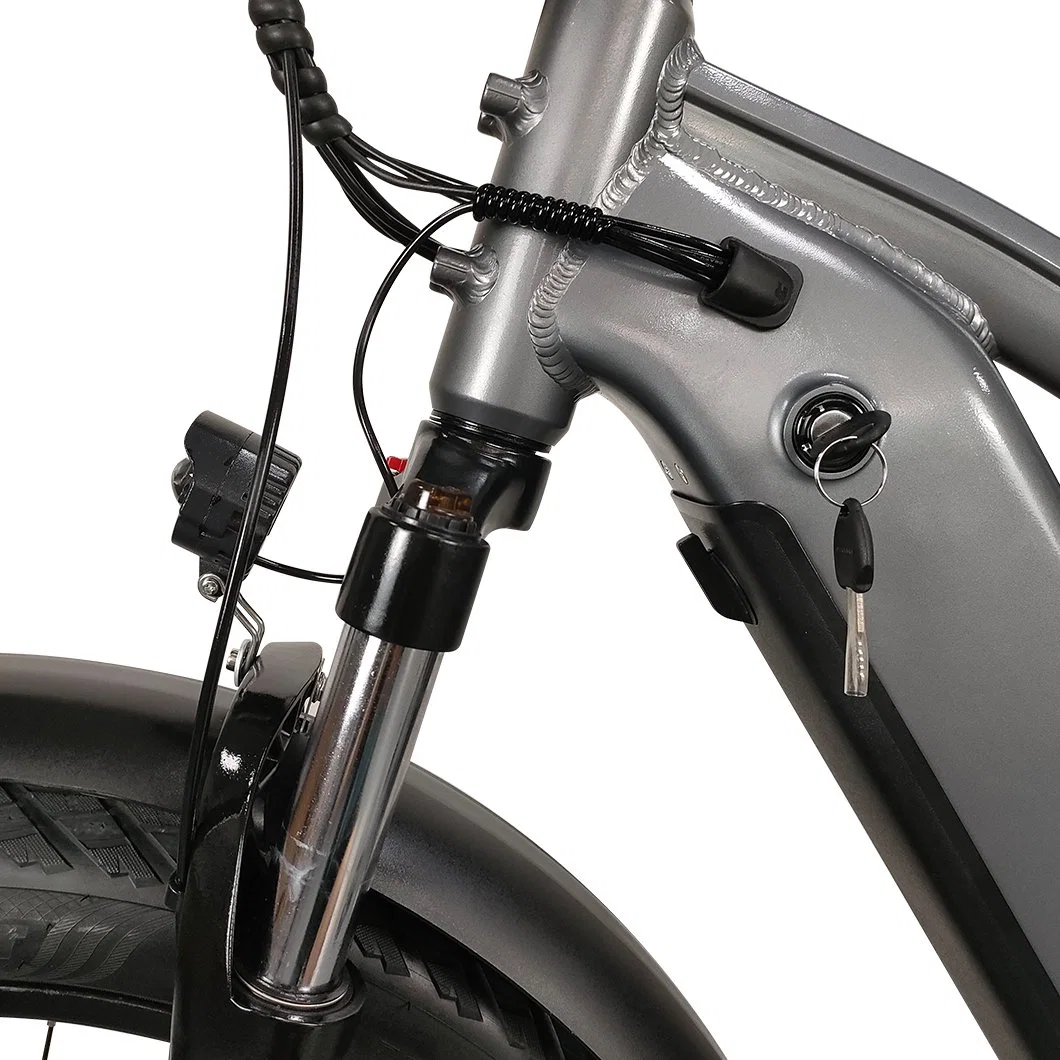 Venta caliente Ebike cuesta abajo, Bicicleta el&#233;ctrica bicicleta el&#233;ctrica