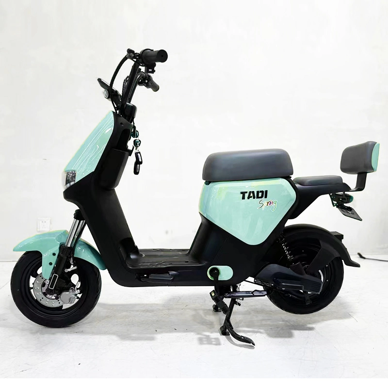 Potente motocicleta bicicleta el&#233;ctrica para los adultos