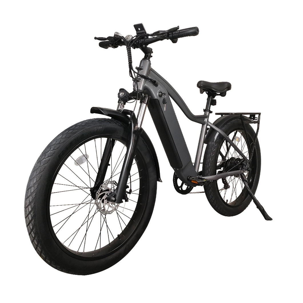 Venta caliente Ebike cuesta abajo, Bicicleta el&#233;ctrica bicicleta el&#233;ctrica