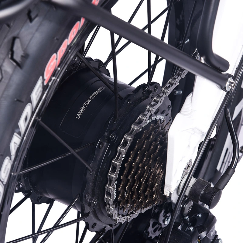 Sin escobillas 20inch Reducing Dirt ciclo de bicicleta E bicicleta el&#233;ctrica 750W E-Bike ODM