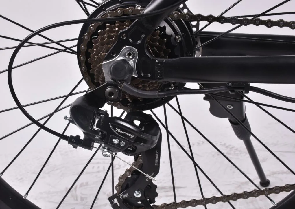 750W Bicicleta el&#233;ctrica con bater&#237;a de litio extra&#237;ble opcional