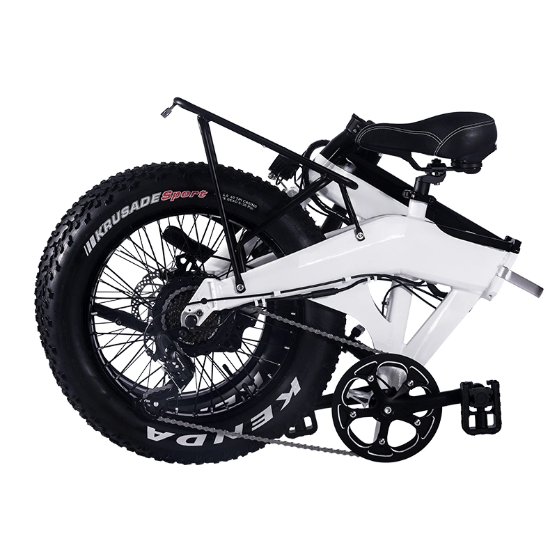 Sin escobillas 20inch Reducing Dirt ciclo de bicicleta E bicicleta el&#233;ctrica 750W E-Bike ODM