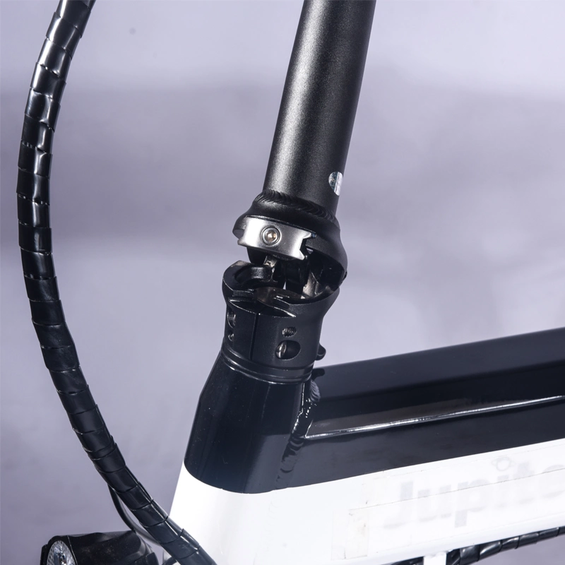 Sin escobillas 20inch Reducing Dirt ciclo de bicicleta E bicicleta el&#233;ctrica 750W E-Bike ODM