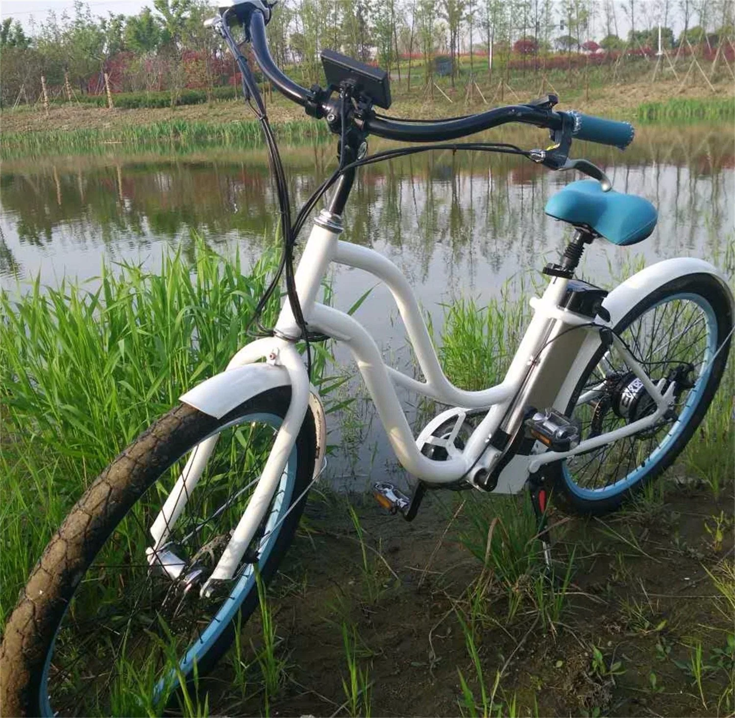 Estilo femenino fuerte 36V 250W Bicicleta el&#233;ctrica China para la venta