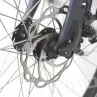 Elegante Dama bicicleta el&#233;ctrica 700c ciudad el&#233;ctrica bicicleta