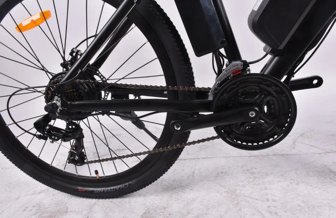 750W Bicicleta el&#233;ctrica con bater&#237;a de litio extra&#237;ble opcional