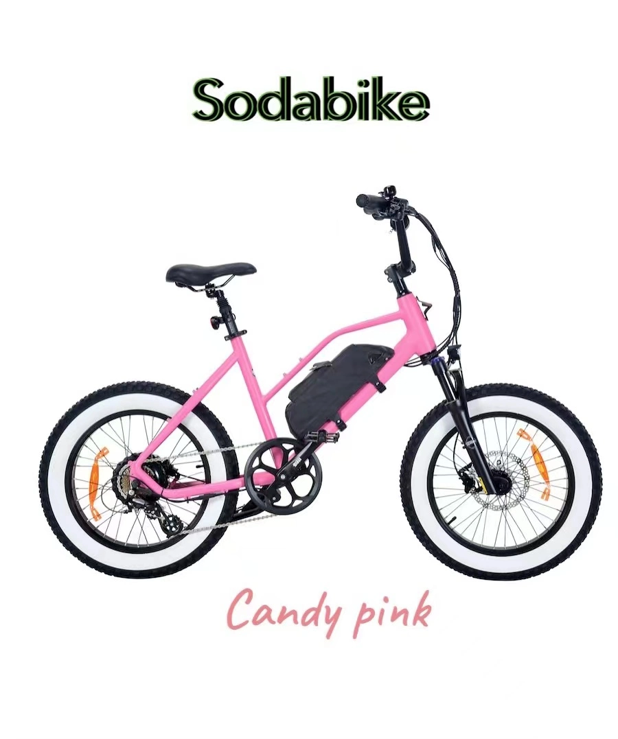 PARA Hombre y Mujer Bicicleta El&#233;ctrica de Pedaleo Aisitido Unisex Rapido eBike