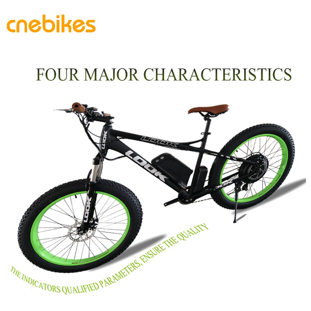 La nieve bicicleta el&#233;ctrica del motor de 750W neum&#225;tico Fat 26 Bicicleta el&#233;ctrica