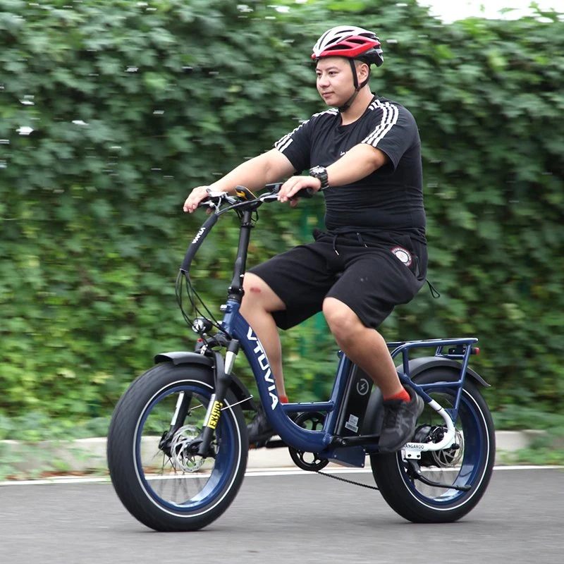 Vtuvia Nuevo Dise&#241;o cargo bicicleta el&#233;ctrica 750W entrega trasera del motor EBike
