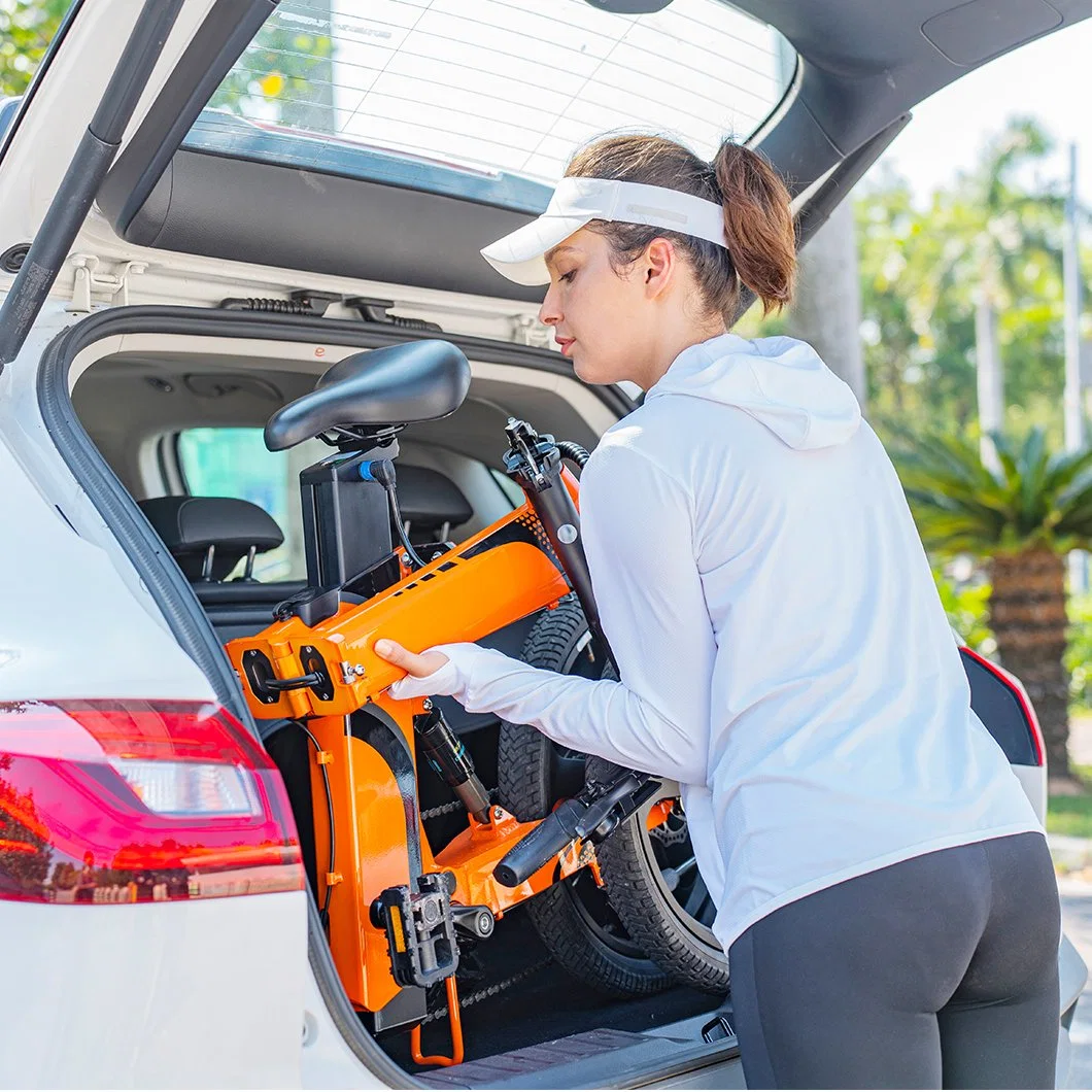 OEM/ODM para las mujeres/hombres 16ah bicicleta el&#233;ctrica bicicleta plegable el&#233;ctrica