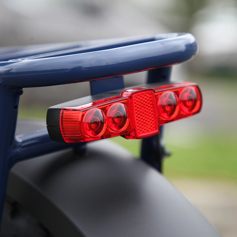 Vtuvia Nuevo Dise&#241;o cargo bicicleta el&#233;ctrica 750W entrega trasera del motor EBike