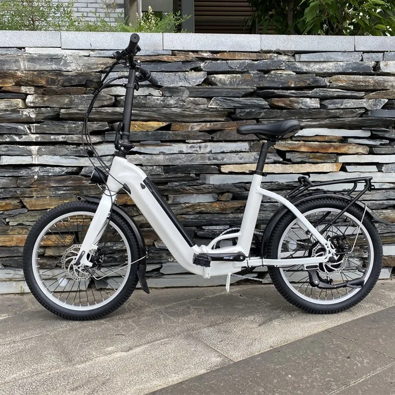 Bicicleta plegable de 20 pulgadas bicicleta el&#233;ctrica plegable