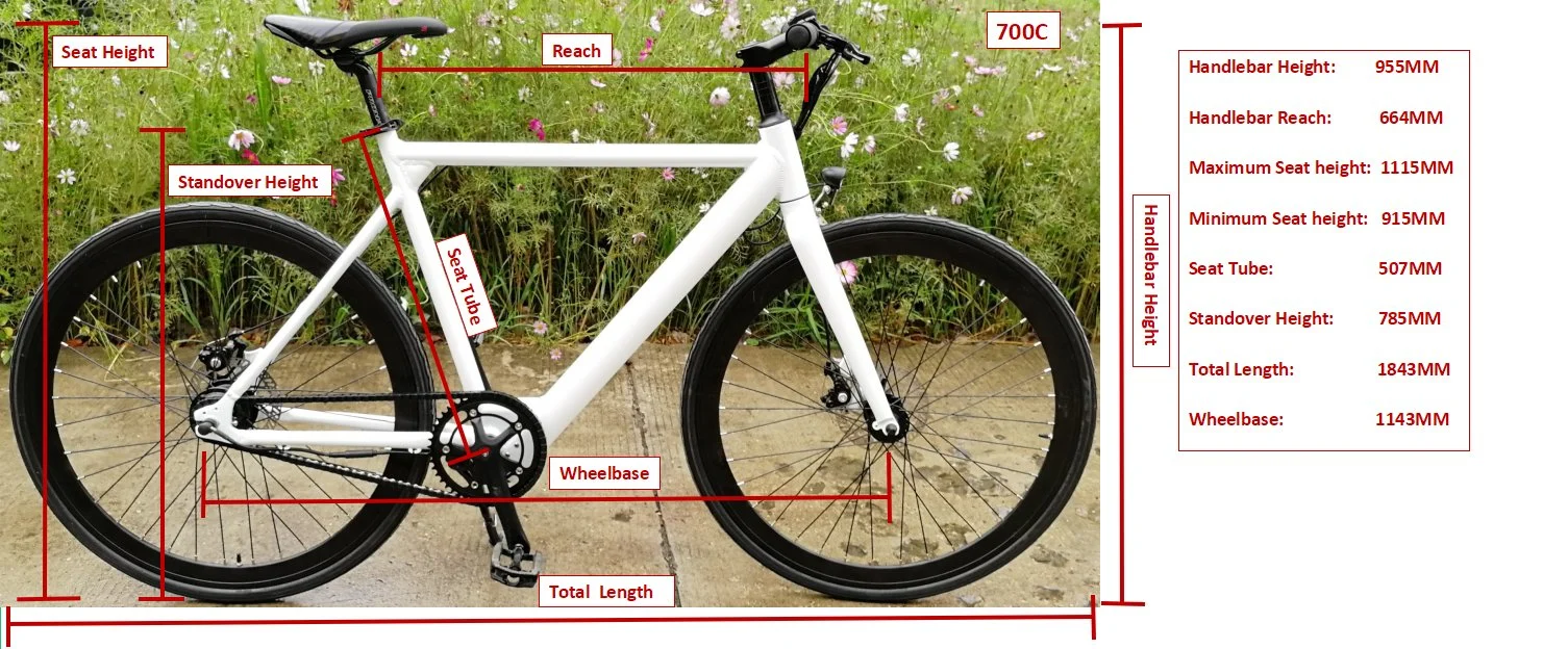 OEM City Electric Bicycle desplazamientos urbanos Bicicletas el&#233;ctricas para adultos Vaquero