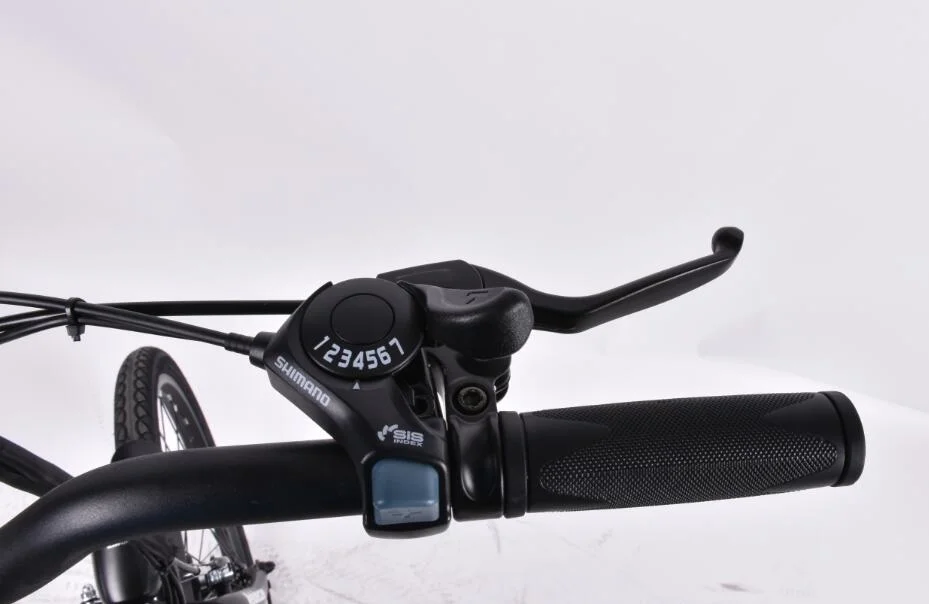 El m&#225;s r&#225;pido de la Ciudad de Acero bicicleta el&#233;ctrica China