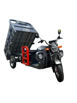 Economici e-Trikes MID Asia mercato 3 ruote Cargo Tricicli elettrici Moto e-bike a tre ruote