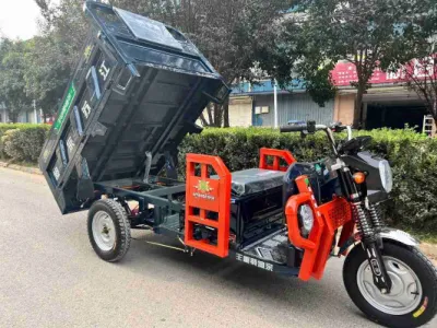 Triciclo elettrico Cargo fabbrica Hot Selling 3 ruote trike elettrico Per Cargo