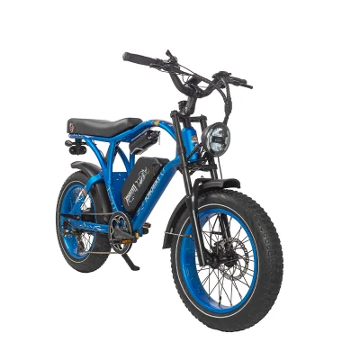 Bicicletta elettrica vintage da 48 V 750 W ad alta potenza, pneumatico FAT da 20 pollici Bici elettrica del Chopper Cafe Racer