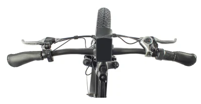 Bicicletta elettrica ad alta potenza da 26&quot; con motore brushless 48V750 W.