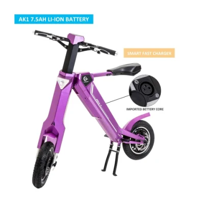 2023 popolare bicicletta elettrica pieghevole da 48V 3500 W per gli sport acquatici Pedalò e-Scooter Bike