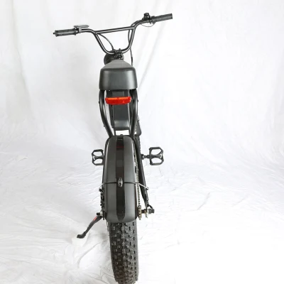 Bicicletta Fat Bike Fatbike da 20 pollici con pneumatici da 48 V CC Ebike Motocicletta elettrica