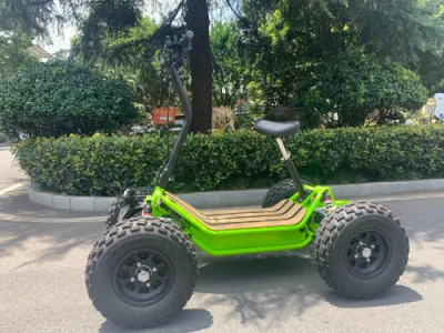 Vendita all&prime;ingrosso 6000W 4 ruote ATV quad elettrico fuoristrada elettrico Scooter con CE