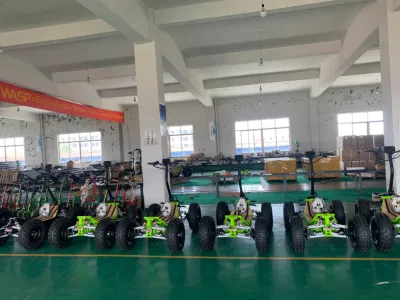 Vendita all&prime;ingrosso 6000W 4 ruote ATV quad elettrico fuoristrada elettrico Scooter con CE