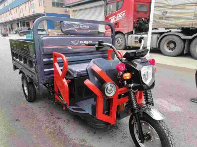 Triciclo elettrico Cargo fabbrica Hot Selling 3 ruote trike elettrico Per Cargo