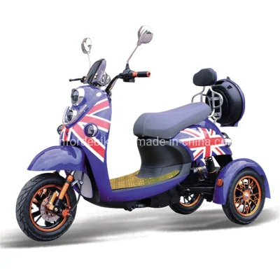 Nuovo passeggero accessibile Adulti elettrico 3 ruote bicicletta elettrica tre elettrici Scooter a gas motore Trike Cargo Bike Motociclismo scooter triciclo