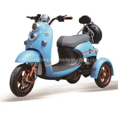Nuovo passeggero accessibile Adulti elettrico 3 ruote bicicletta elettrica tre elettrici Scooter a gas motore Trike Cargo Bike Motociclismo scooter triciclo