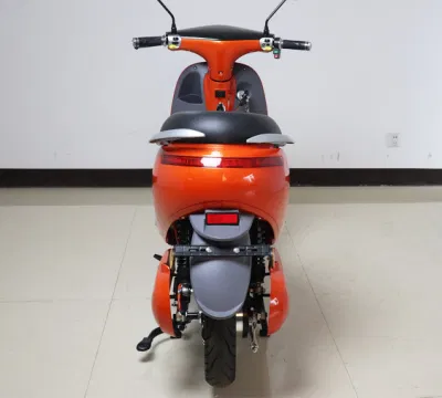 Popolare nuovo modello di alta qualità EV biciclette a due ruote elettriche Scooter Gogo-F