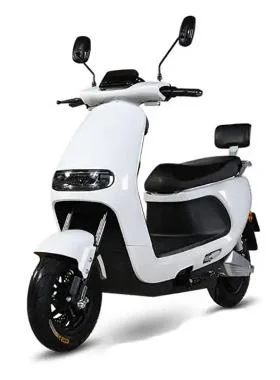 Scooter elettrico da 72 V 20ah New Design Professional da uomo E donne