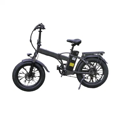 Bicicletta elettrica da montagna pieghevole di Giorrad Moto bicicletta da moto ODM/OEM in Ebike di scorta
