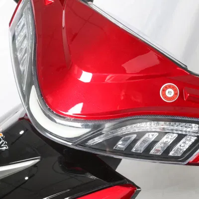 Pardo ZS Fashion High Speed Ebike più popolare con piombo-acido Batteria