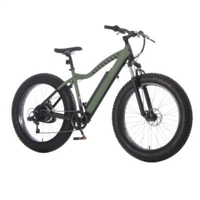 City Man Electric Cycle 26*4.0 750W 1000W /Eletric/ Bike Snow Beach Cruiser bici elettrica Big Power Fat Tire batteria grande Mountain e Bike/biciclette da neve