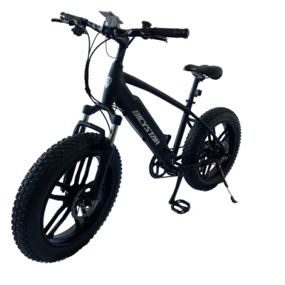 Economici Cina 500W 60V 700c 72V 1000W750 W trinciatore per adulti Bicicletta elettrica