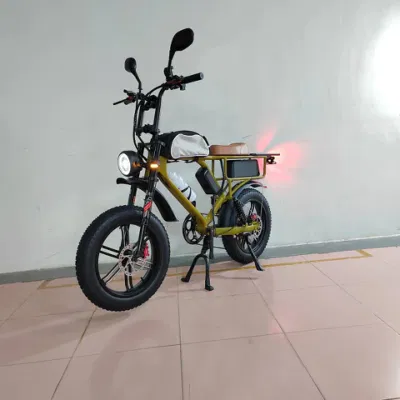 Bicicletta elettrica da città Samsung a batteria da 750 W con motore a bang da 52 V e 22 ah EBike