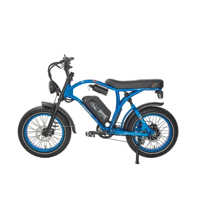 Bicicletta elettrica vintage da 48 V 750 W ad alta potenza, pneumatico FAT da 20 pollici Bici elettrica del Chopper Cafe Racer