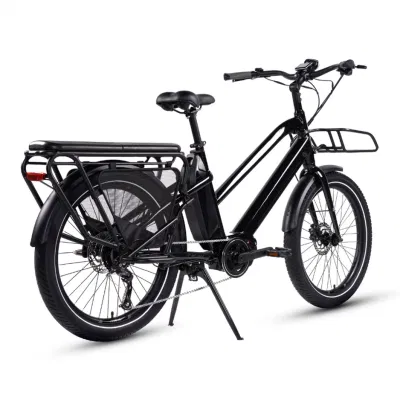 Bicicletta elettrica da cargo da 24" 750 W per adulti