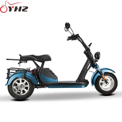 Moto elettrica Citycoco scooter 2000 W 60V con tre ruote Certificato CEE