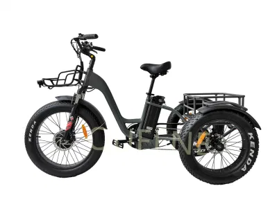 Freni a disco con batteria al litio in alluminio Queene nuova revisione e Trike Triciclo elettrico da 48 V 500 W 3 ruote da 24/20 pollici con pneumatici in tessuto adiposo